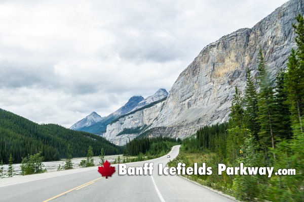 Icefields Parkway During August